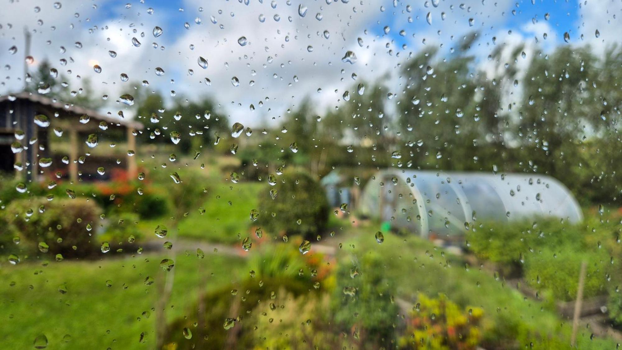 Golden Hill Guest House Omagh Eksteriør billede